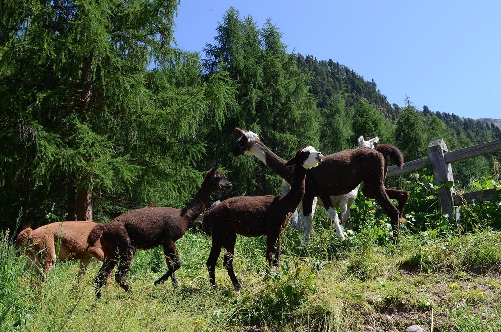 La Tresenda Hotel And Mountain Farm Livigno Bagian luar foto